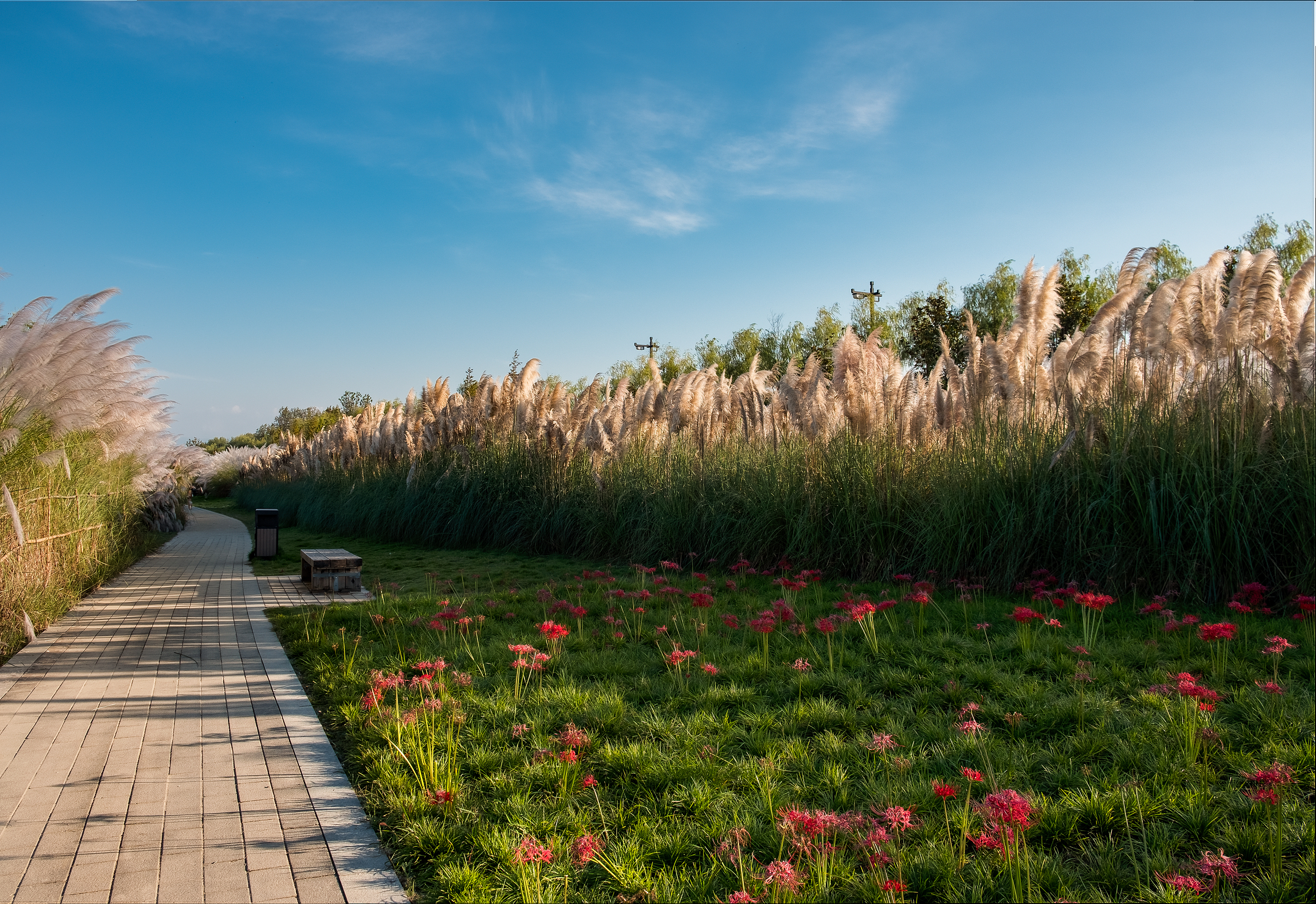 3-Day Hanzhong Tour: From Wetlands to Ancient Towns, Panda Habitat