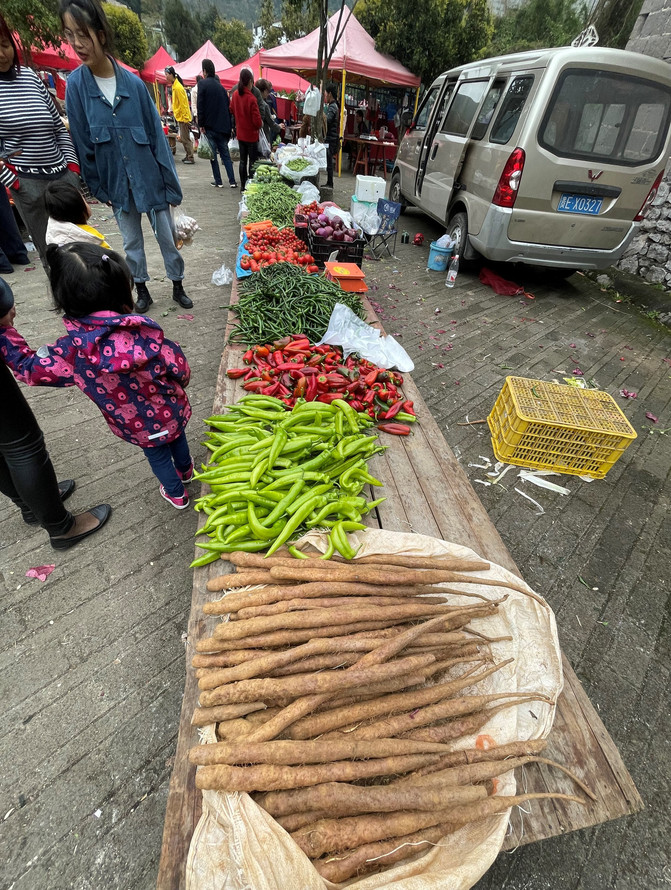 昆明旅游网