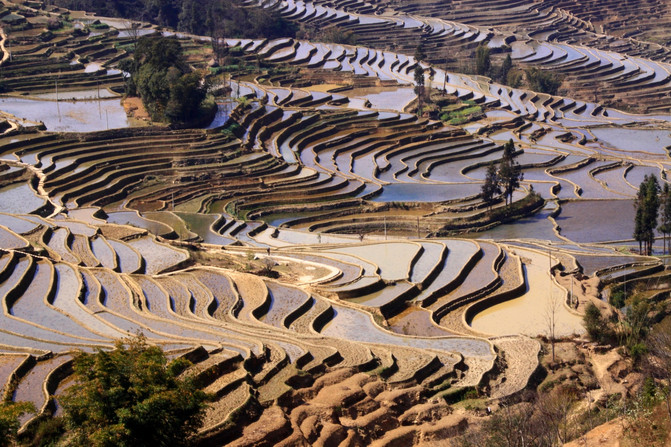昆明旅游网