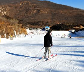 嵩山滑雪滑草場