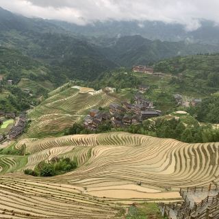 龙脊梯田中禄寨攻略-中禄寨门票价格多少钱-团购票价预定优惠-景点