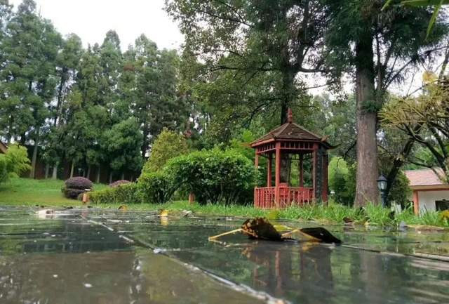 昆明旅游网