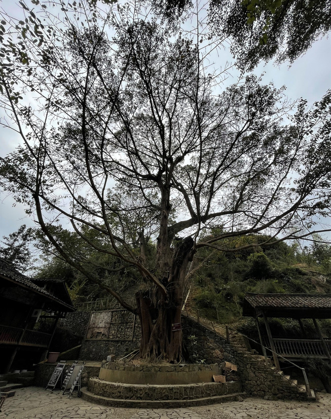 昆明旅游网