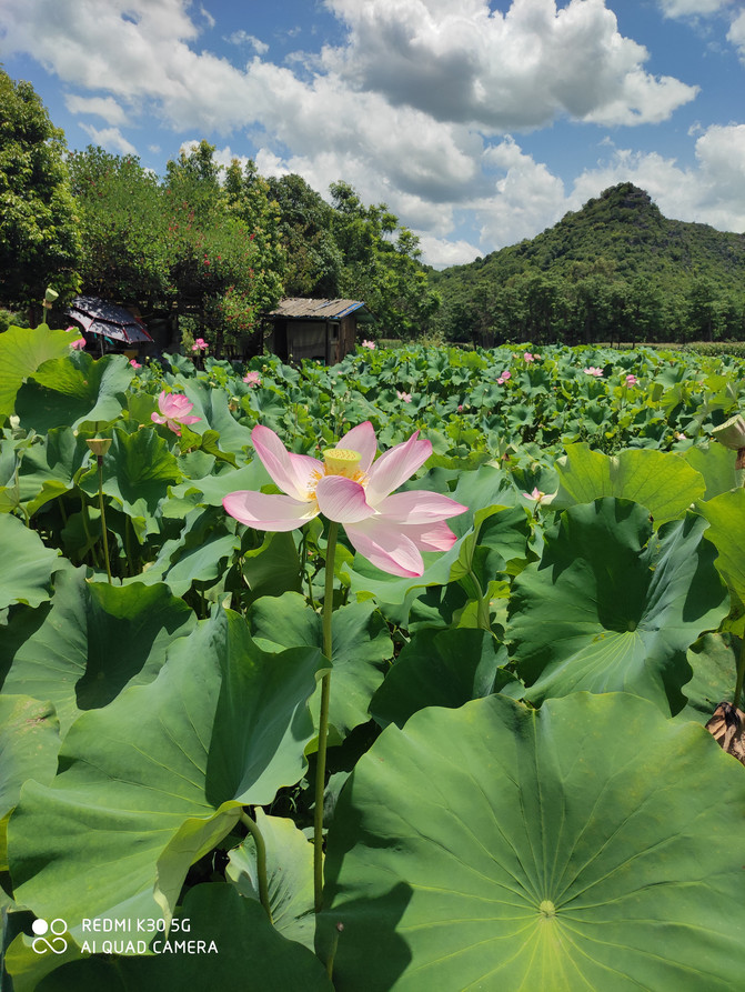 昆明旅游网