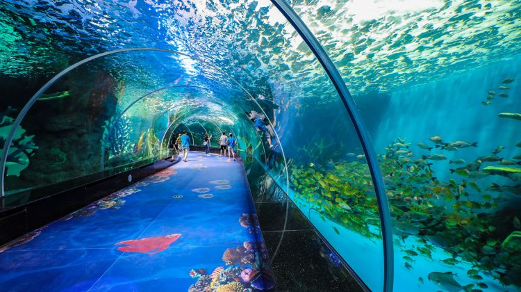 泉州欧乐堡海洋王国乐园