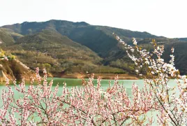1-Day Pingliang Tour: Natural Beauty of Kongtong Mountain, Historical Depth of Pingliang Museum