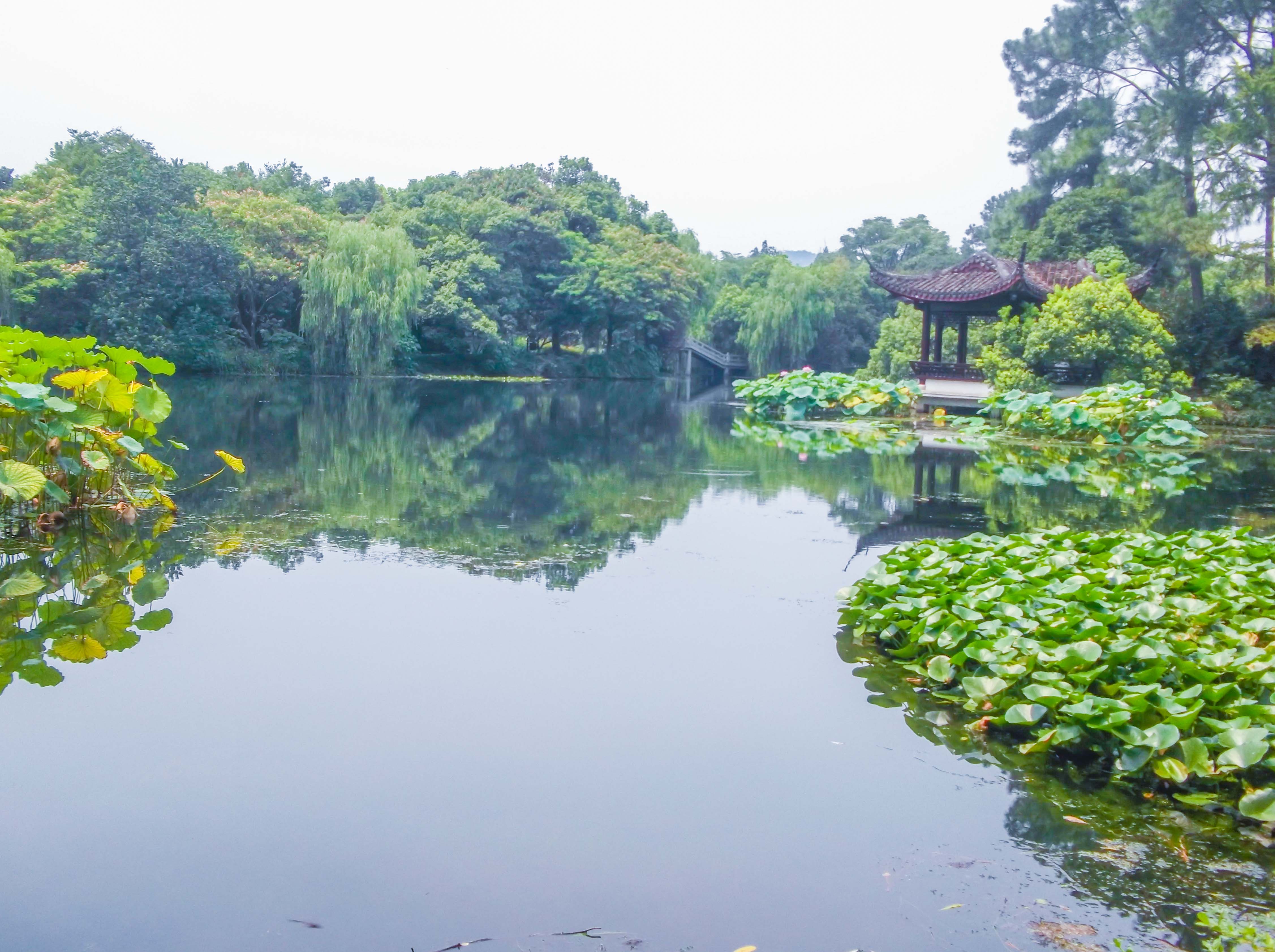 杭州曲院风荷景区图片