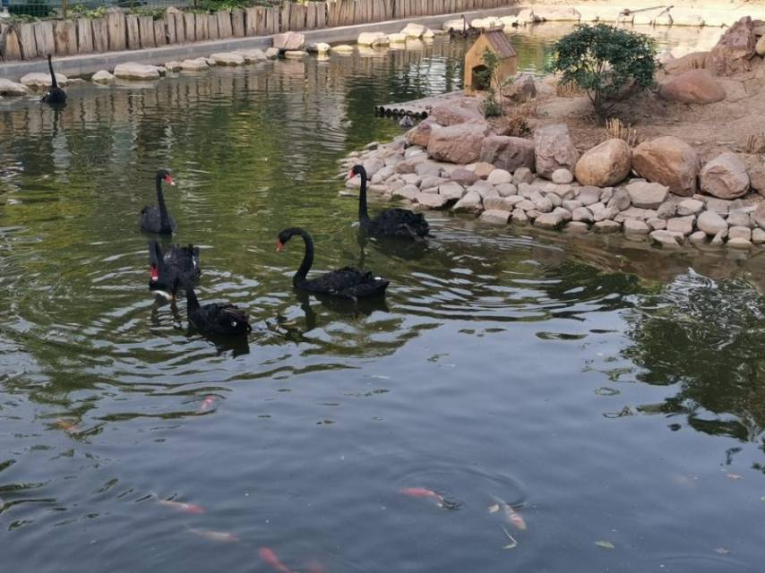 2-Day Pingdingshan Tour: Marine Wonders, Natural Beauty of Wetland Park