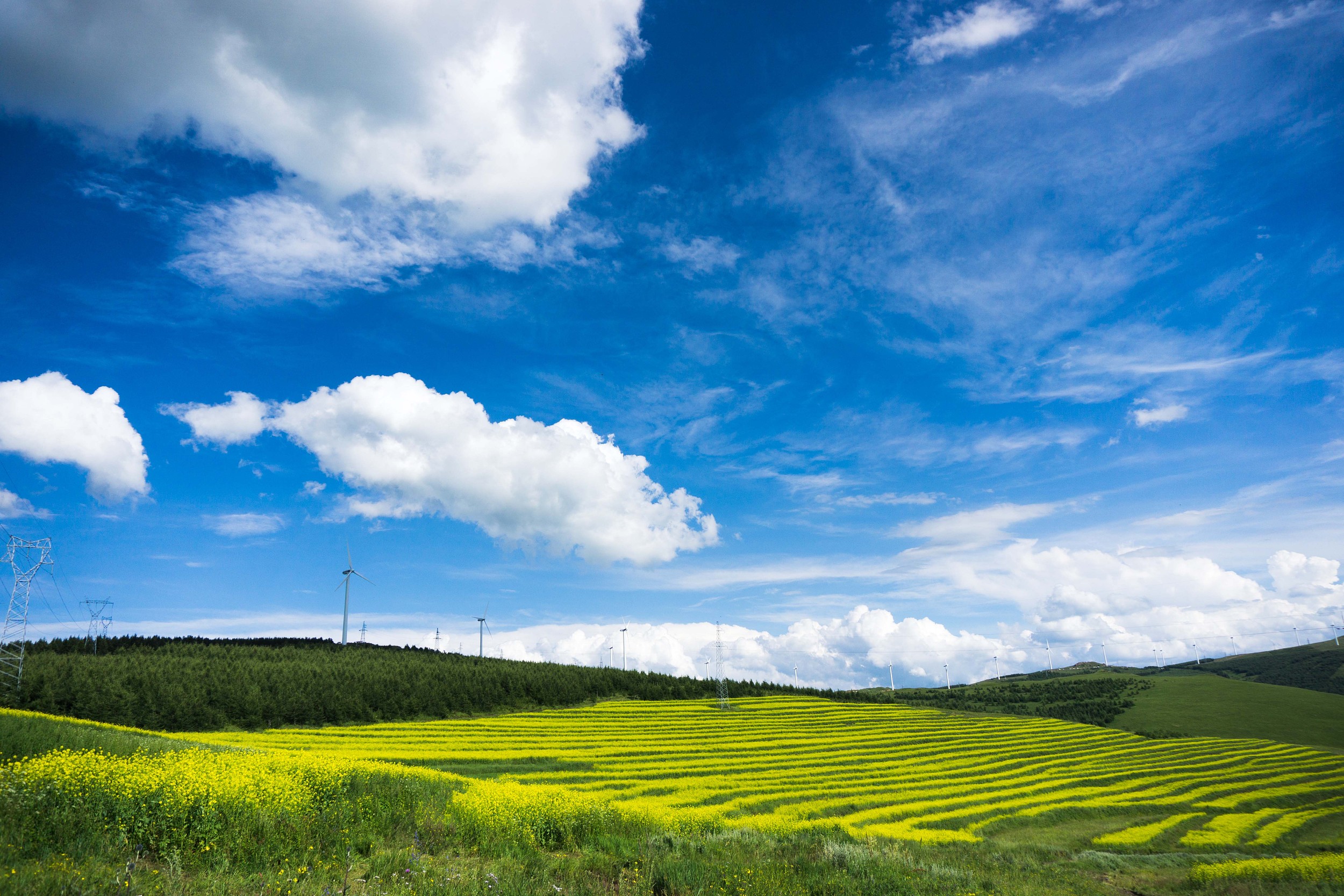 现代牧业察北牧场