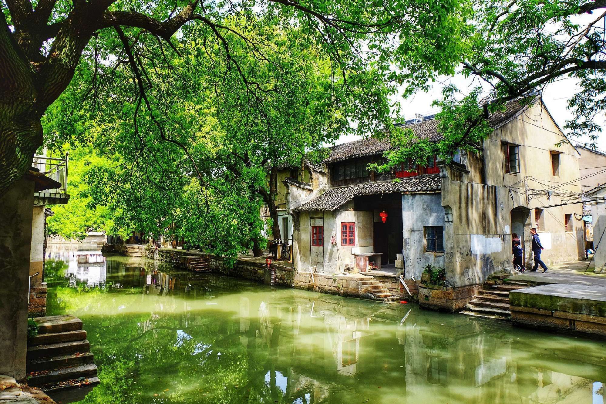 吴江区汾湖镇西栅园艺场