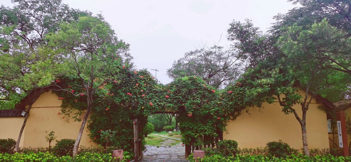 厦门九龙塘文化园攻略,厦门九龙塘文化园门票/游玩攻略/地址/图片