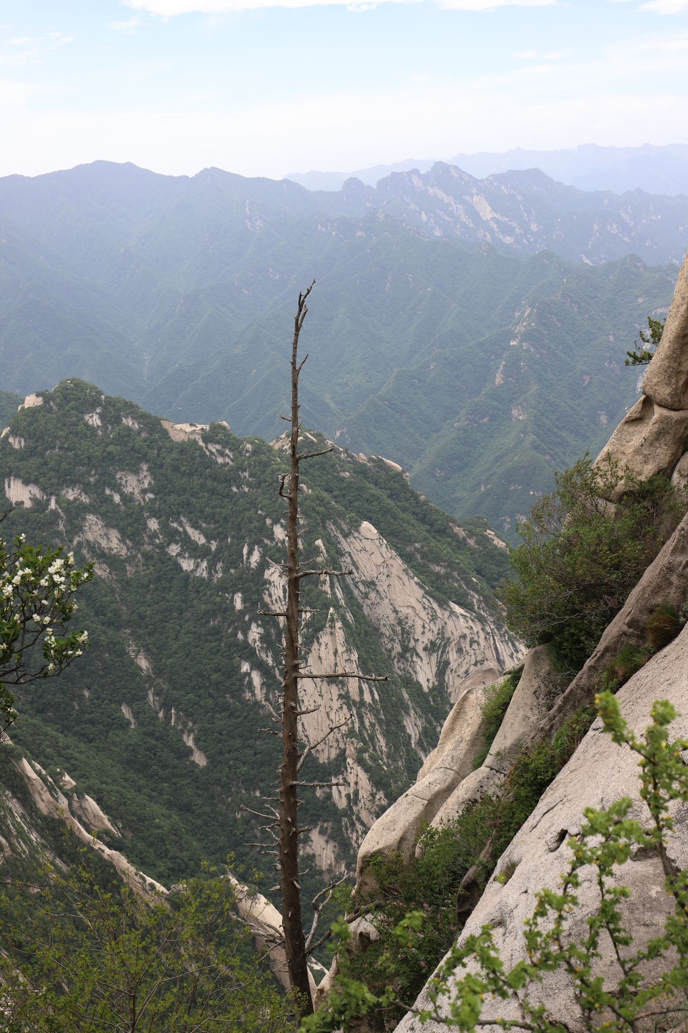 這個地方有一塊石碑,上面寫著華山的海拔,這一片相對東峰來說比較小