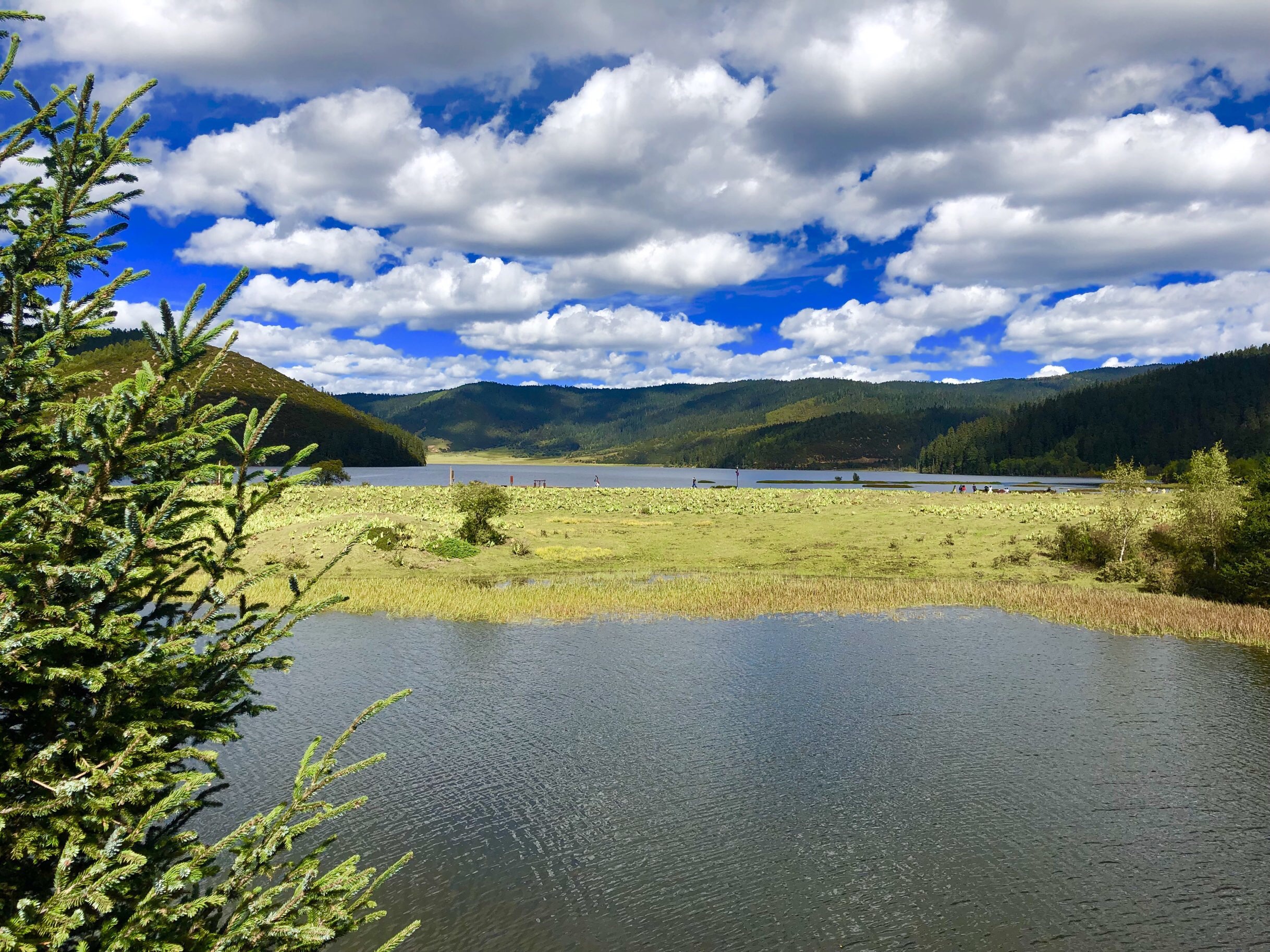 【携程攻略】香格里拉属都湖景点,属都湖又称属都岗湖,位于云南省迪庆