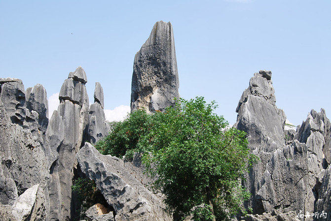 昆明旅游网