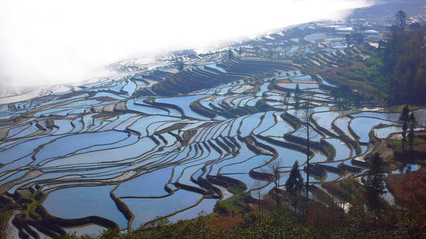 昆明旅游网