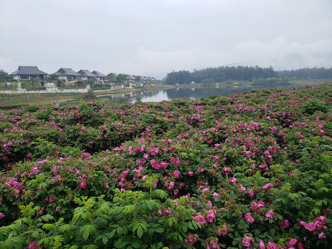 昆明旅游网