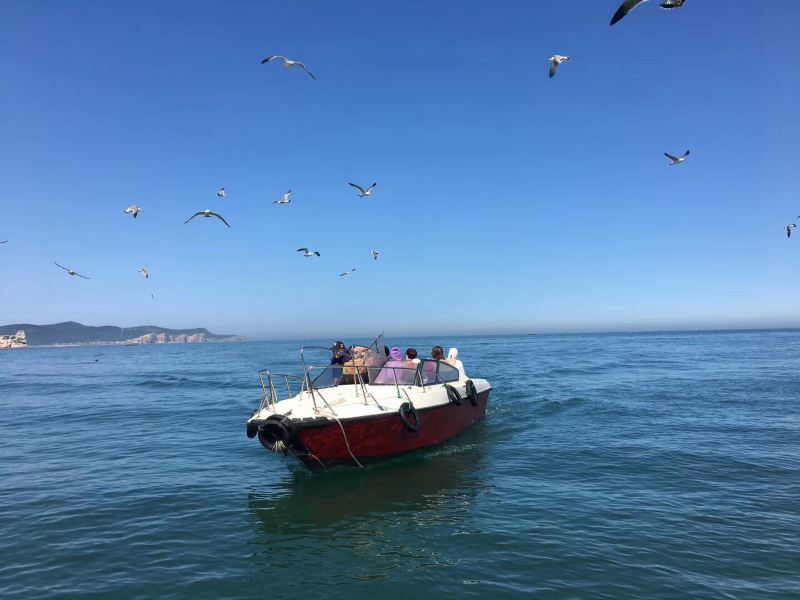 烟台钓鱼岛海豹礁游玩攻略-钓鱼岛海豹礁门票多少钱/价格表-团购票价