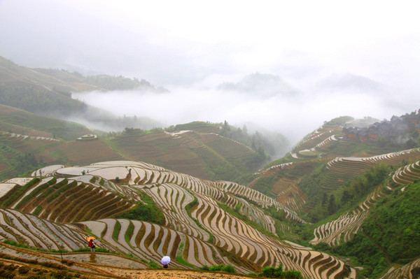 昆明旅游网