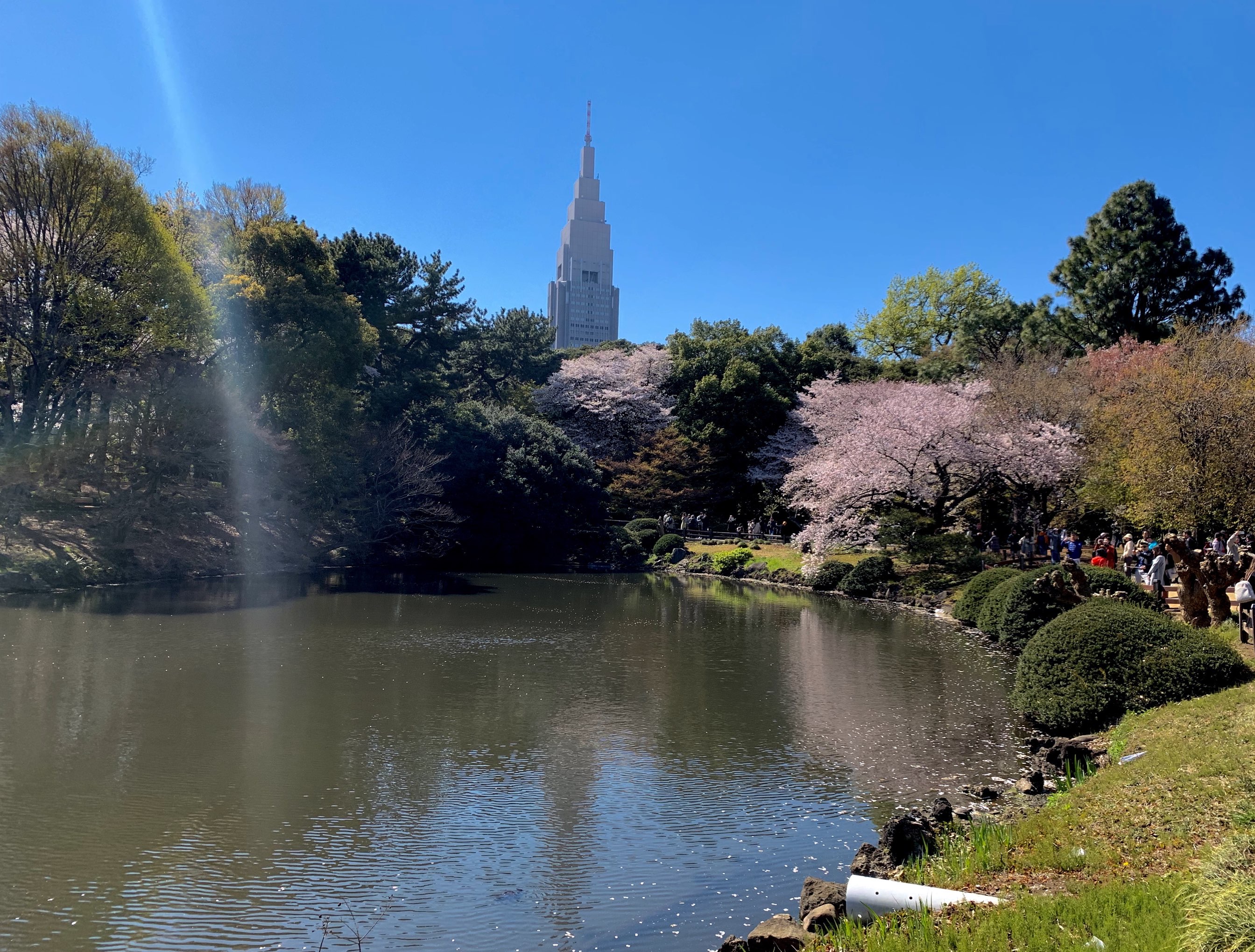 【携程攻略】东京新宿御苑景点,日本著名动画人新海诚的《言叶之庭》