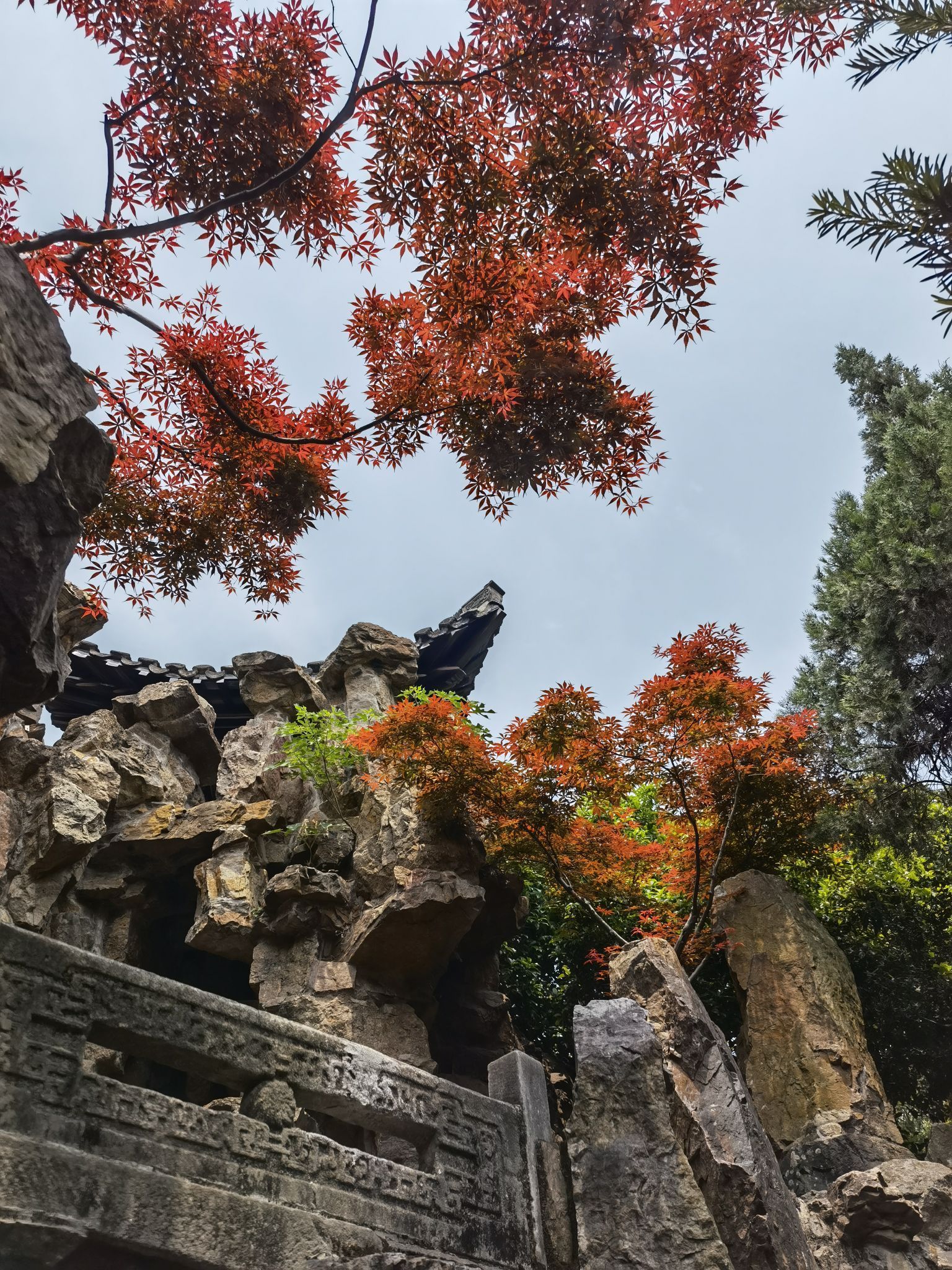 扬州个园好玩吗,扬州个园景点怎么样_点评_评价【携程攻略】