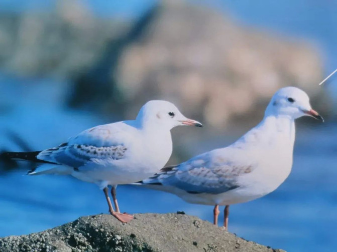 昆明旅游网