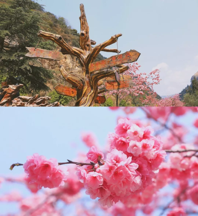 昆明旅游网