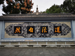 [成都游记图片] 2020年云贵川51天自驾秋游记（2）--成都都江堰篇