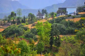 3-Day Hechi Tour: Explore Longevity Culture, Longevity Village and Renshouyuan