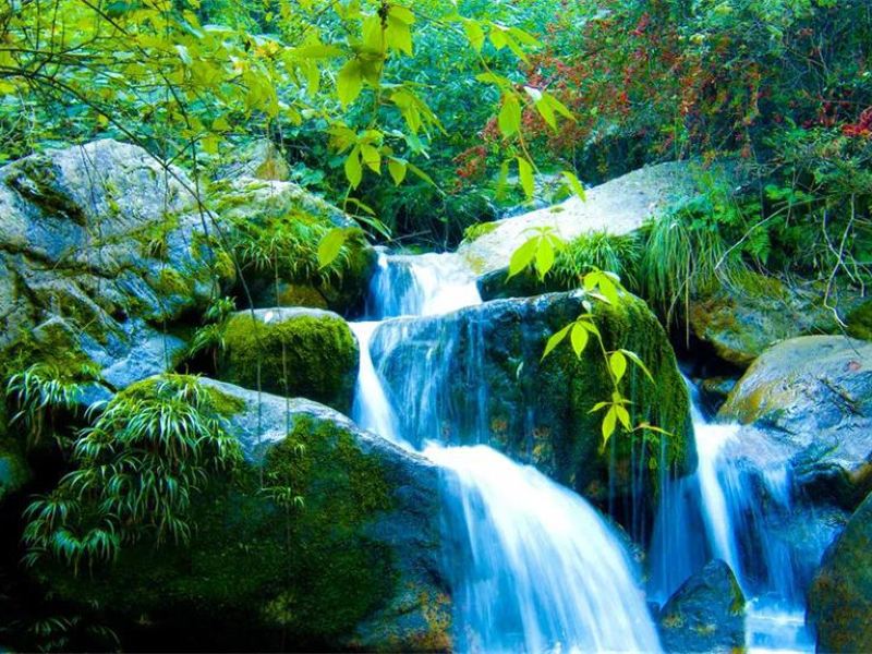 周洛龙潭风景区