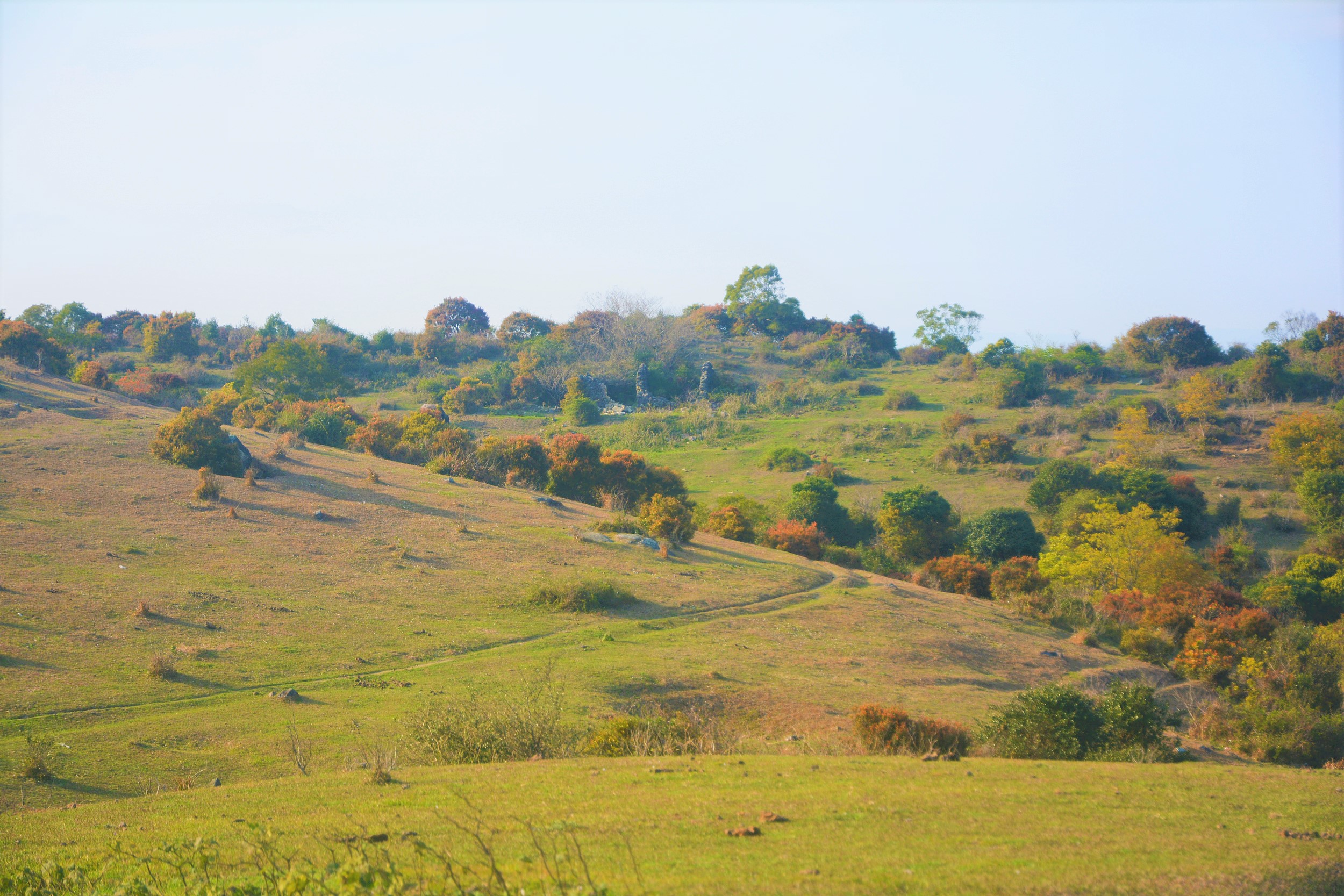 1-Day Fuqing Tour: Explore Damu Mountain, Yonghong Wild Animal World