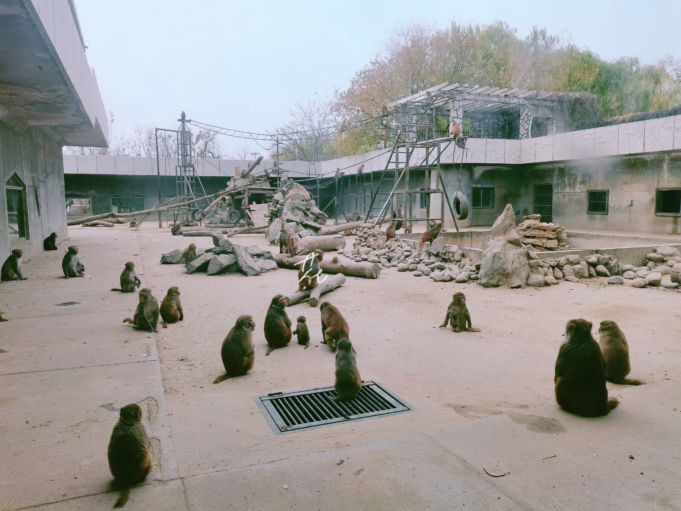 正常逛動物園需要逛多久