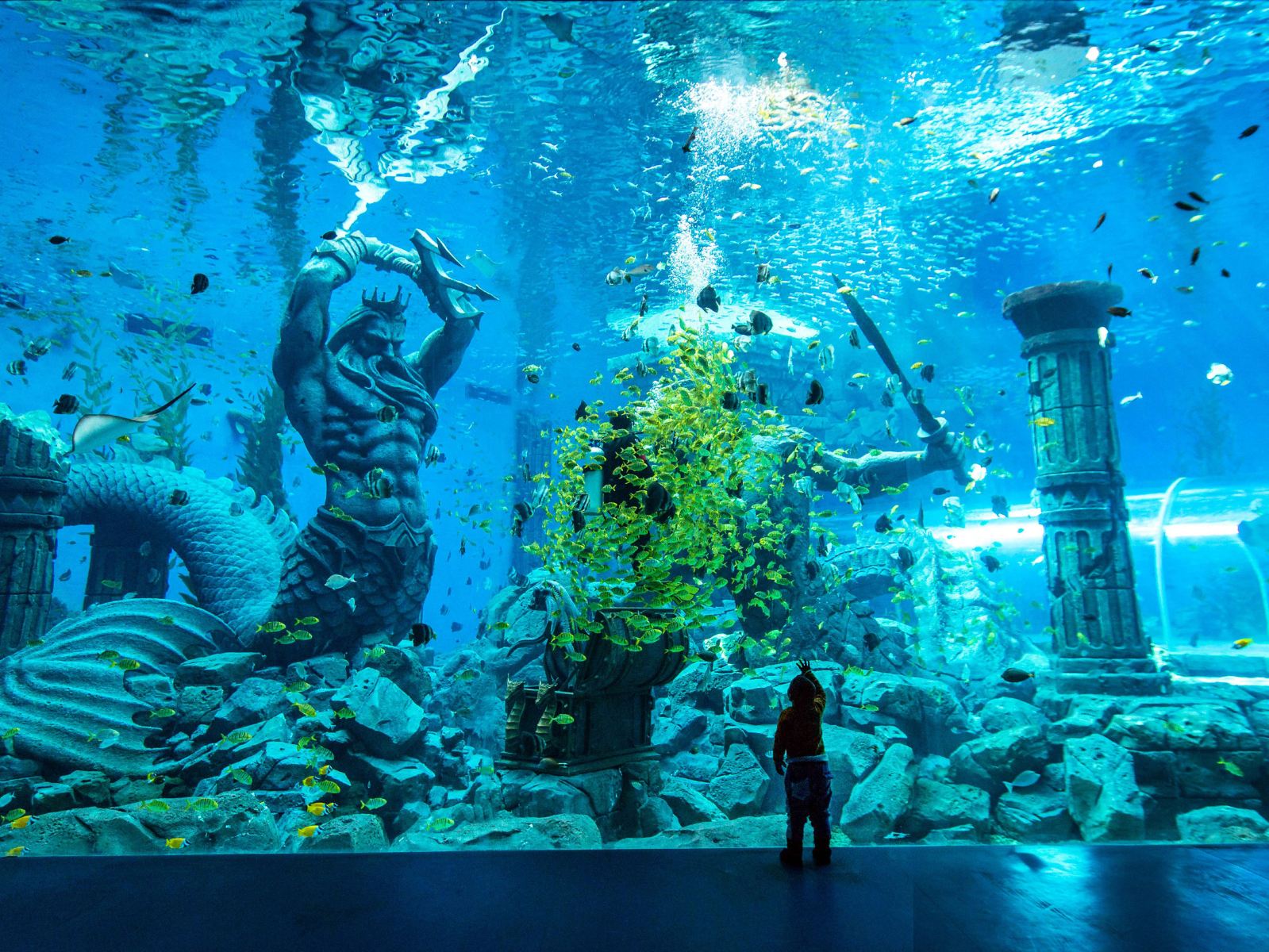 深海水族馆北极图片