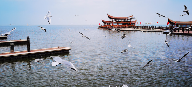 昆明旅游网
