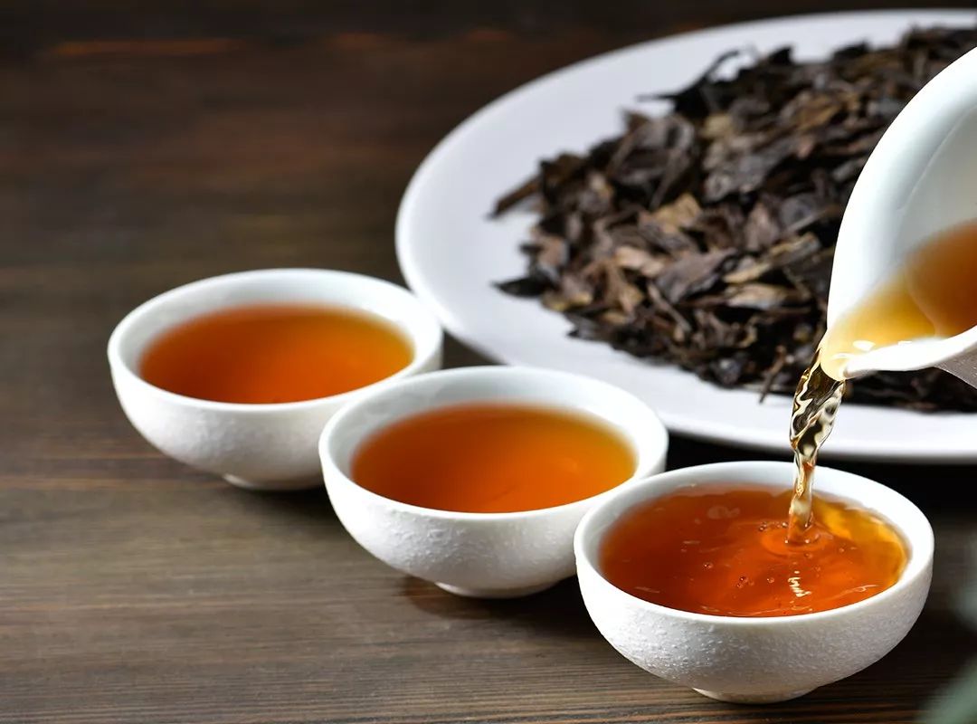 tanah rata cameron valley茶园