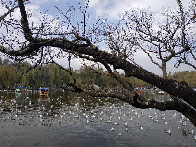 昆明旅游网