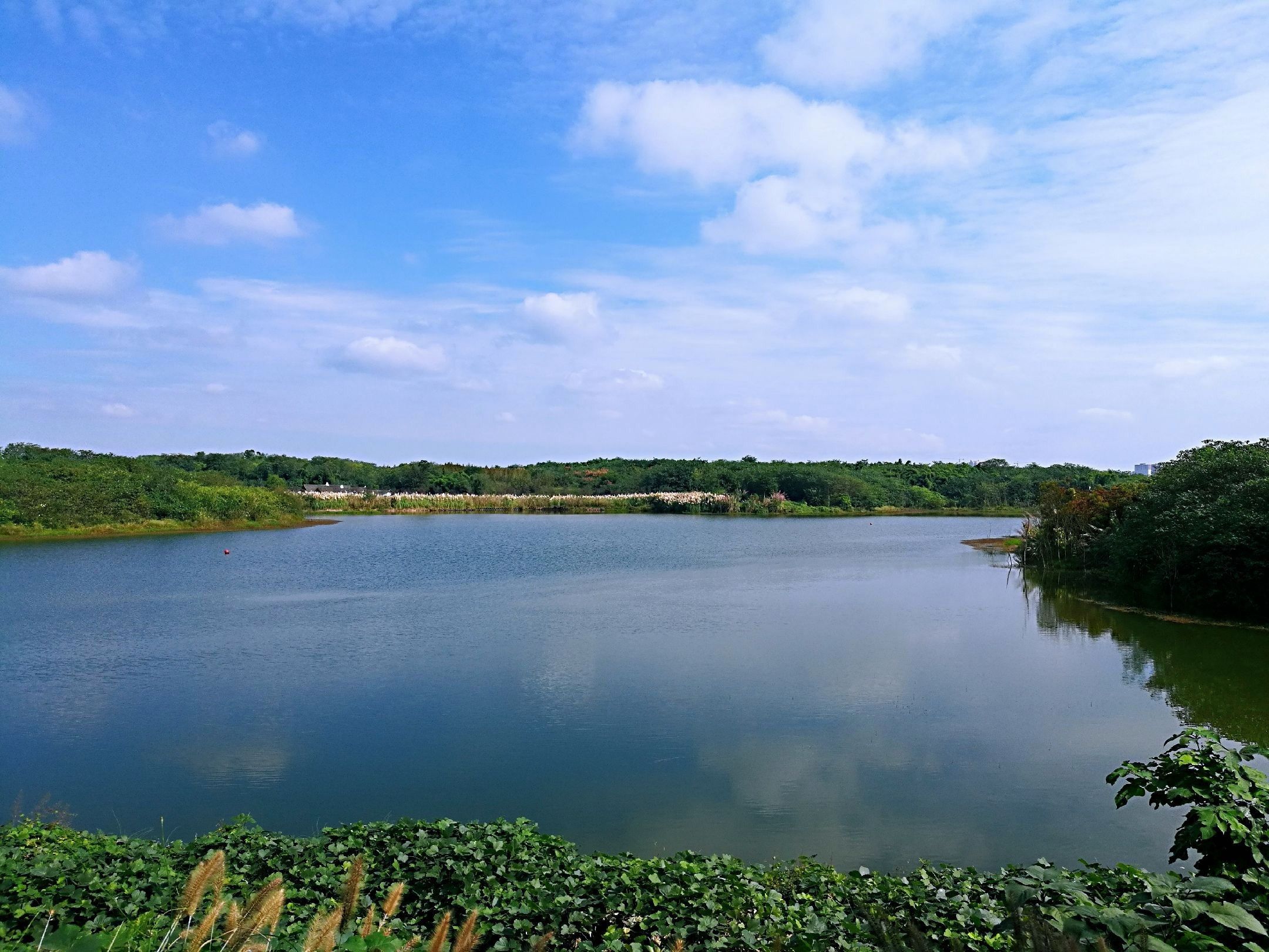 青龙湖景区图片