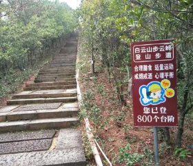 Buyunling Hiking Trail, Baiyun Forest Park