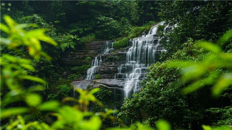 碧峰峡生态峡谷景区门票含大熊猫基地峡谷大观光车电梯成人票