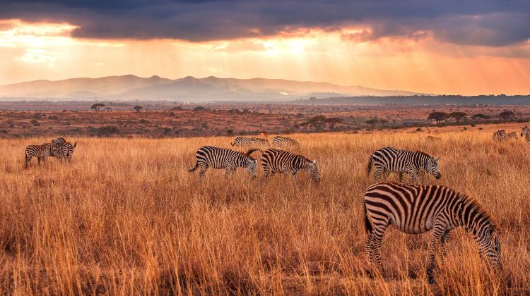 内罗毕国家公园