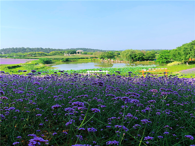 1-4小时 更多详情 预订 点评 推荐 酒店酒店 清沐精品酒店(南京东善桥