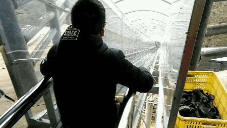 昆明旅游网