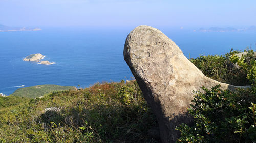 大洋山小洋山小洋山石龍景區一日遊上海至嵊泗洋山島觀東海海景環島遊