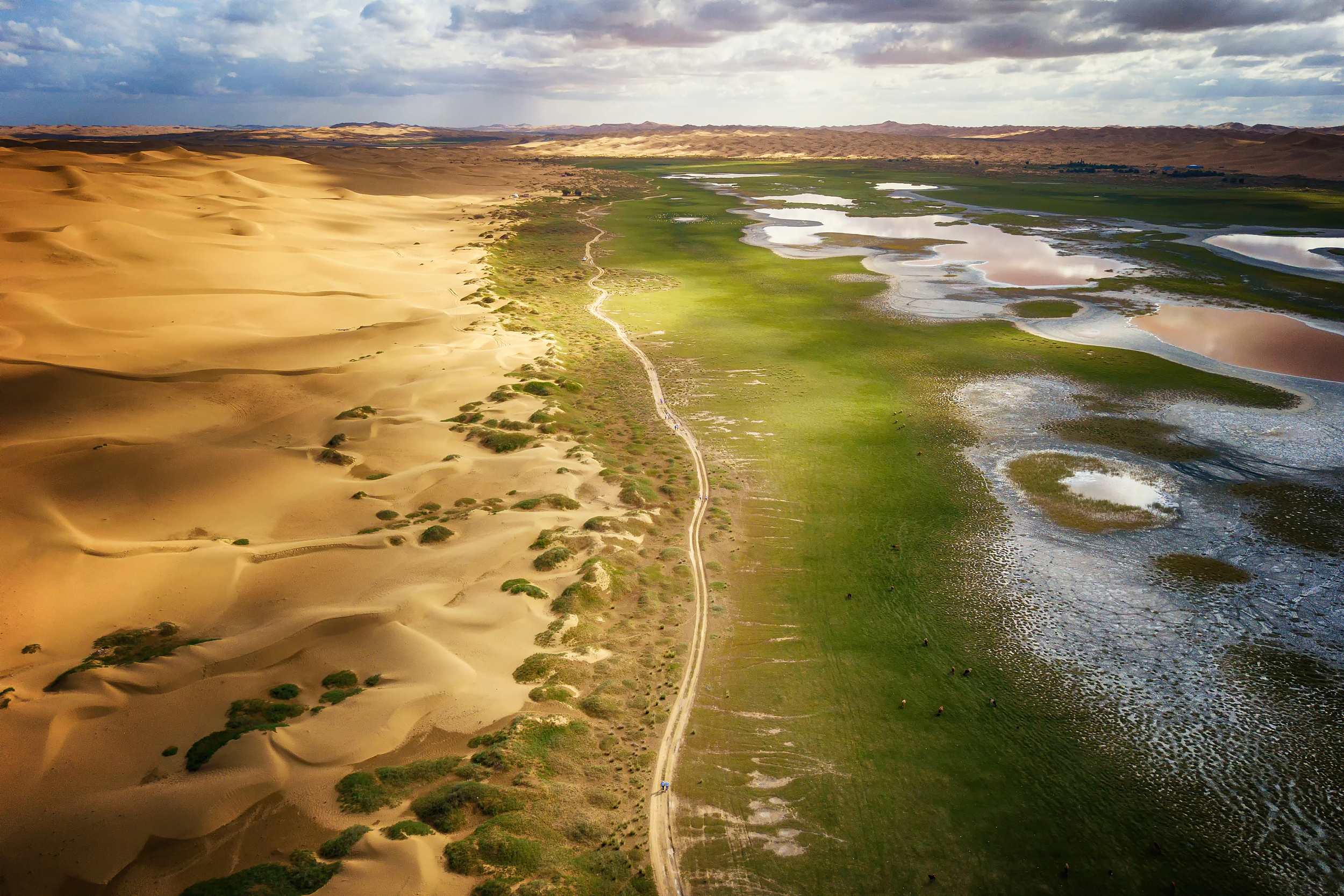 Ningxia Tengri Desert