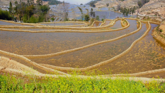 昆明旅游网