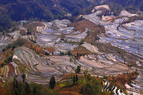 昆明旅游网