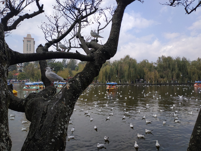 昆明旅游网