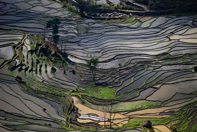 昆明旅游网