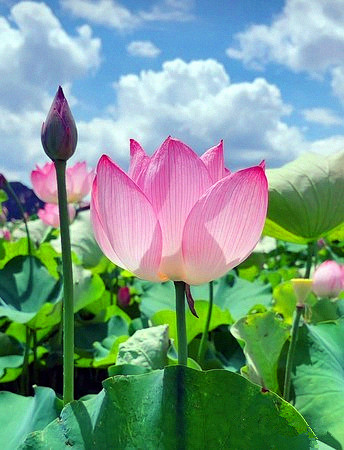 昆明旅游网
