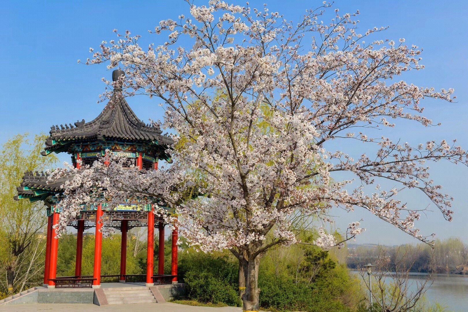 安丘青龙湖风景区攻略-青龙湖风景区门票价格多少钱-团购票价预定优惠