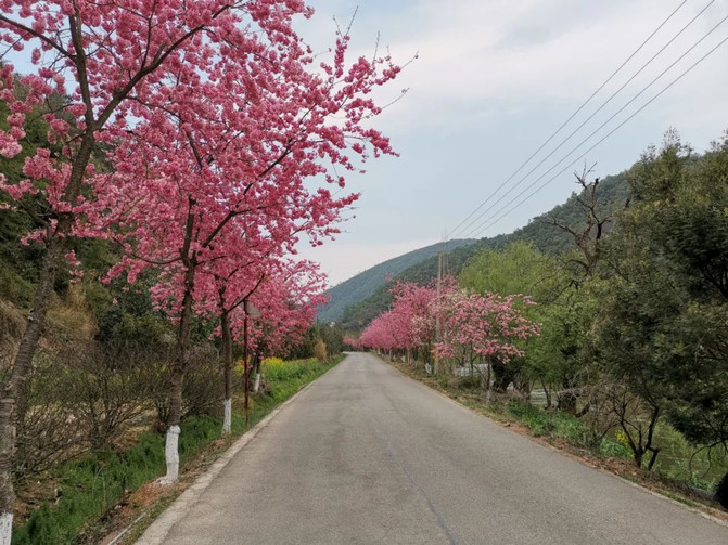 昆明旅游网
